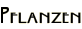 Pflanzen