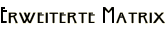 Erweiterte Matrix