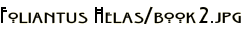 Foliantus Helas/book2.jpg