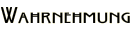 Wahrnehmung