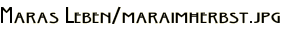 Maras Leben/maraimherbst.jpg