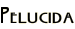 Pelucida