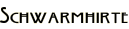 Schwarmhirte